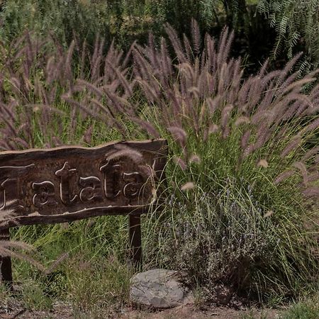 Casa Tatata Villa Tilcara Eksteriør billede